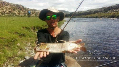 The Wandering Angler - Mongolia taimen0034