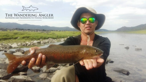 The Wandering Angler - Mongolia taimen0035