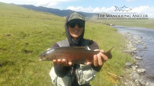 The Wandering Angler - Mongolia taimen0037