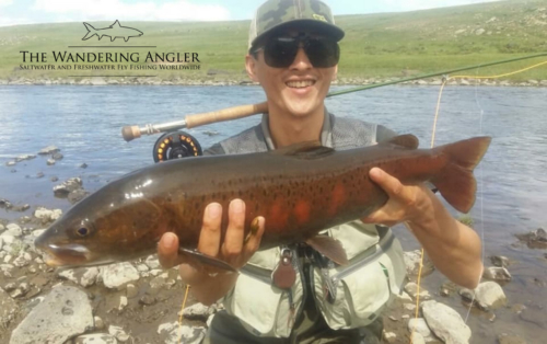 The Wandering Angler - Mongolia taimen0038