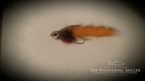 The Wandering Angler - Mongolia taimen0045