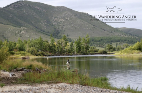 The Wandering Angler - Mongolia taimen0048