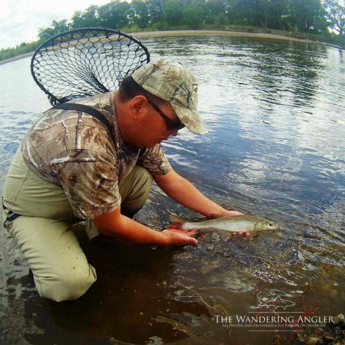 The Wandering Angler - Mongolia taimen0049