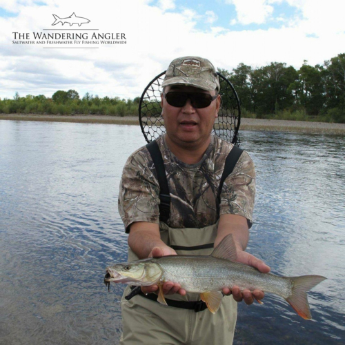 The Wandering Angler - Mongolia taimen0052