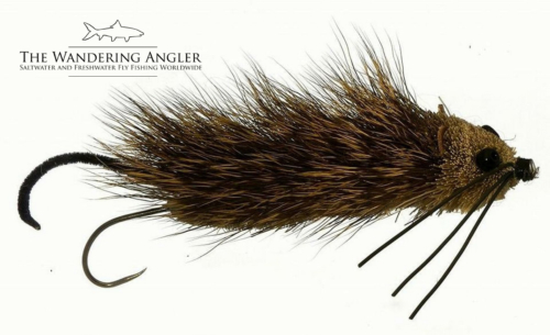 The Wandering Angler - Mongolia taimen0054