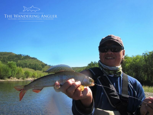 The Wandering Angler - Mongolia taimen0060