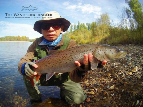 The Wandering Angler - Mongolia taimen0074