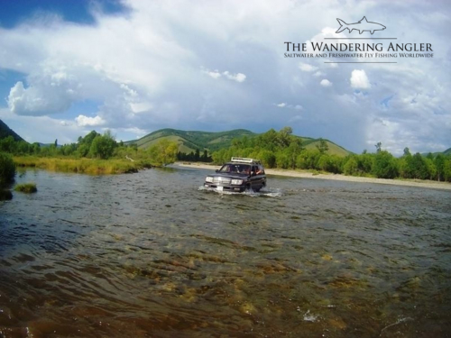 The Wandering Angler - Mongolia taimen0077