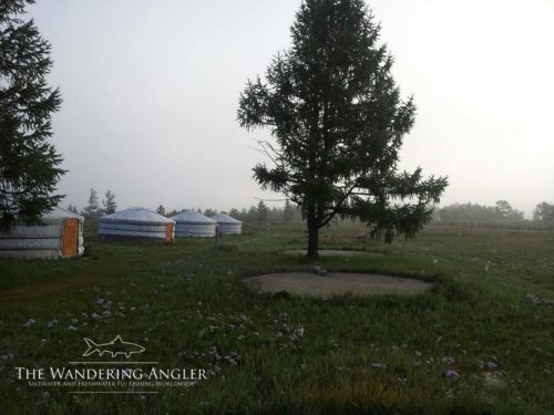 The Wandering Angler - Mongolia taimen0082