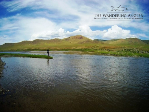 The Wandering Angler - Mongolia taimen0083