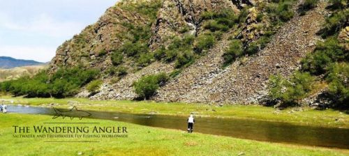 The Wandering Angler - Mongolia taimen0086