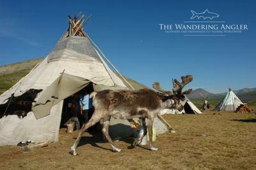 The Wandering Angler - Mongolia taimen0088