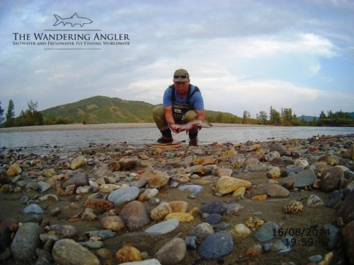 The Wandering Angler - Mongolia taimen0089