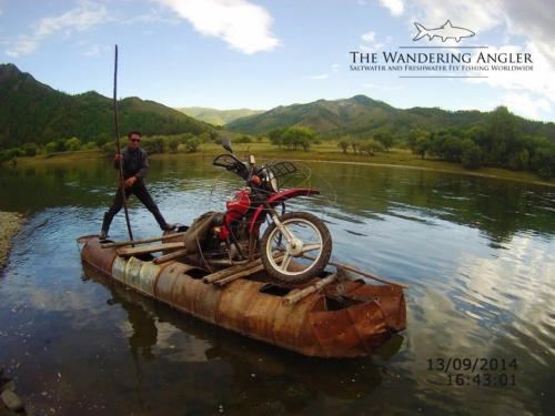 The Wandering Angler - Mongolia taimen0093