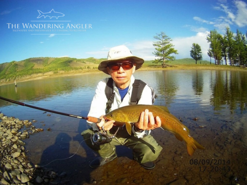 The Wandering Angler - Mongolia taimen0095