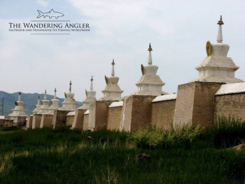 The Wandering Angler - Mongolia taimen0104