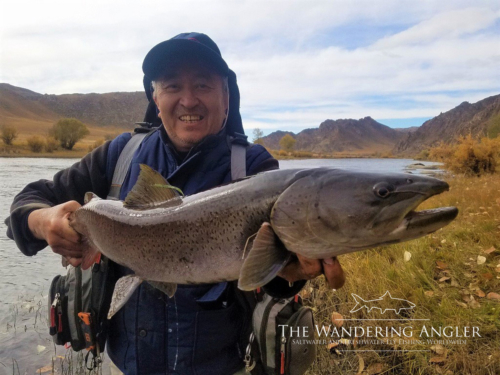 The Wandering Angler - Mongolia taimen0108