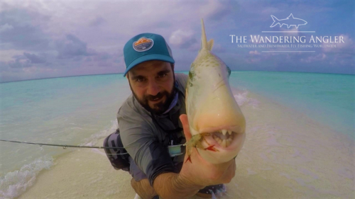 The Wandering Angler December 2018 trip 042 (1)